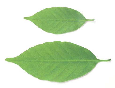 Leaf Thermometer