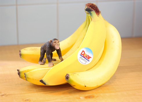 バナナメッセージカード