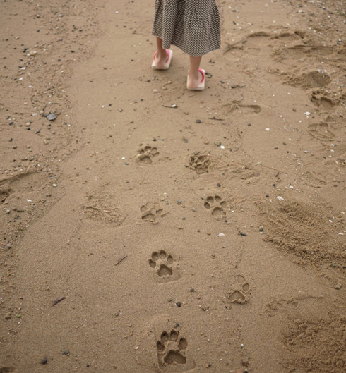 Ashiato Animal Footprint Sandals