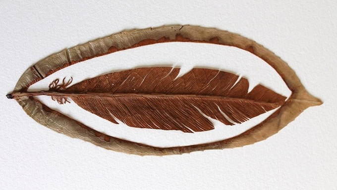 lorenzo duran leaf art