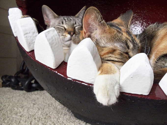 Chain Chomp Cat Bed