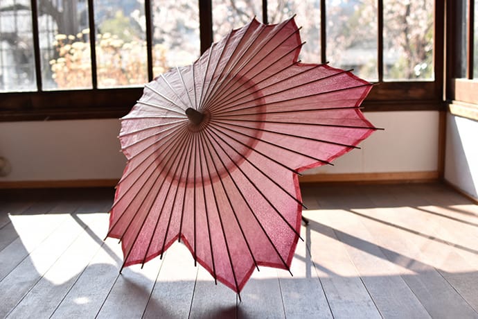 桜和傘