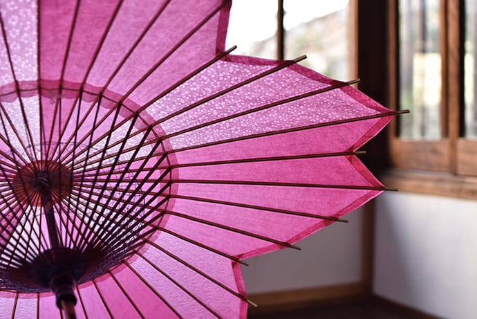 桜和傘